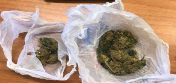 La droga ritrovata dagli agenti della Polizia di Stato (© Diario di Trieste) La droga ritrovata dagli agenti della Polizia di Stato (© Diario di Trieste)