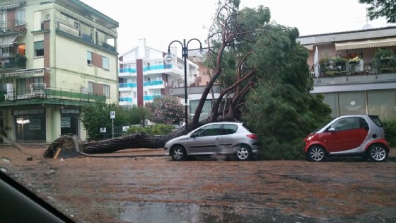 Raffiche di vento nel Veneziano: a Jesolo 'volano' alberi