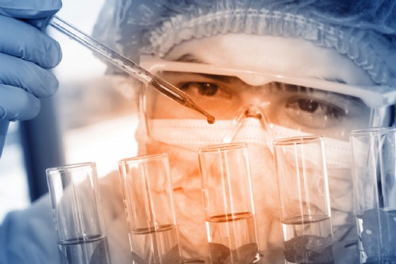DNA: creati maiali OGM per trapianti di organi all'uomo DNA: creati maiali OGM per trapianti di organi all'uomo