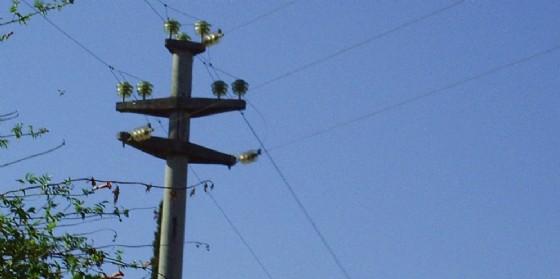 La caduta di un cavo dell'energia elettrica blocca i collegamenti telefonici (© ANSA) La caduta di un cavo dell'energia elettrica blocca i collegamenti telefonici (© ANSA)