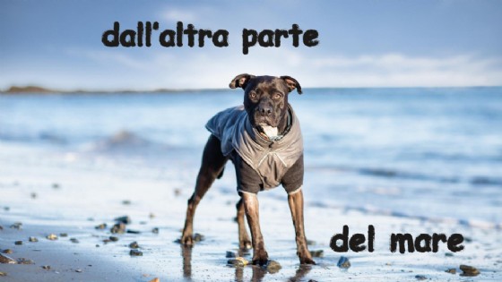 In Piazza Ottinetti in scena «Dall'altra parte del mare» (© Ivreaestate) In Piazza Ottinetti in scena «Dall'altra parte del mare» (© Ivreaestate)