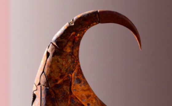 Uno degli elementi della mostra “Animals”
