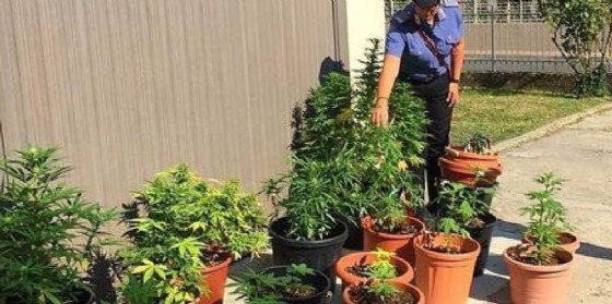Coltivavano marijuana sul tetto di una scuola materna: arrestati