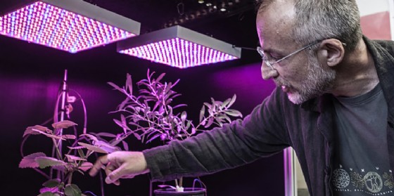 Sostenibilità a Pordenonelegge: con Aboca in scena il neurobiologo delle piante (© Fondazione Pordenonelegge) Sostenibilità a Pordenonelegge: con Aboca in scena il neurobiologo delle piante (© Fondazione Pordenonelegge)