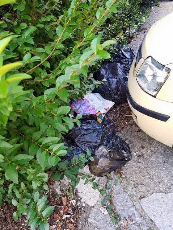 La zona è piena di sacchetti della spazzatura