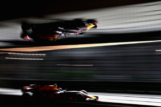 Ricciardo al volante della Red Bull nelle prove libere a Marina Bay