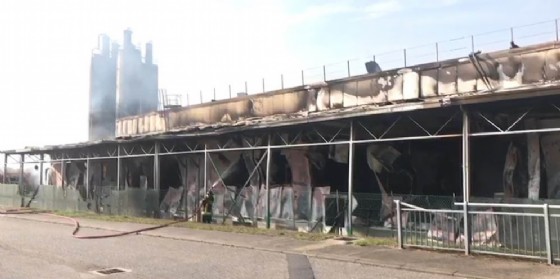 Lo stabilimento Roncadin interessato dall'incendio