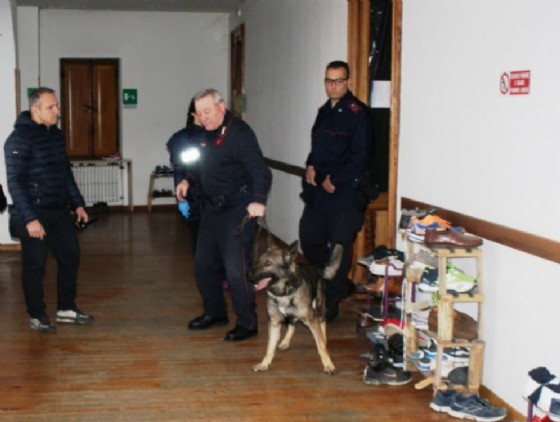Unità cinofile dei carabinieri