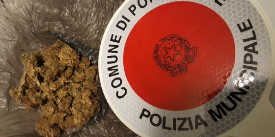 Polizia municipale, in due mesi 12 sequestri di droga (© Polizia Municipale di Pordenone) Polizia municipale, in due mesi 12 sequestri di droga (© Polizia Municipale di Pordenone)