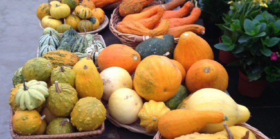 Si rinnova il tradizionale appuntamento autunnale con la Festa della Zucca a san Vito al Tagliamento (© Il Piccolo Principe) Si rinnova il tradizionale appuntamento autunnale con la Festa della Zucca a san Vito al Tagliamento (© Il Piccolo Principe)
