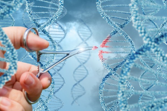 Dna modificato a un uomo con la sindrome di Hunter