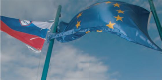 "L' Europa che vogliamo, quali impatti avranno i futuri scenari sulle politiche transfrontaliere?" Se ne parla a Gorizia (© Gruppo Europeo di Cooperazione Territoriale) "L' Europa che vogliamo, quali impatti avranno i futuri scenari sulle politiche transfrontaliere?" Se ne parla a Gorizia (© Gruppo Europeo di Cooperazione Territoriale)