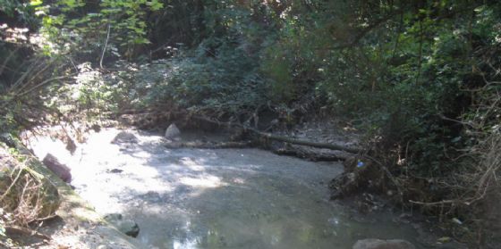 Vito, pronto il progetto per gli interventi nel bacino del torrente Corno (© Protezione Civile Fvg) Vito, pronto il progetto per gli interventi nel bacino del torrente Corno (© Protezione Civile Fvg)