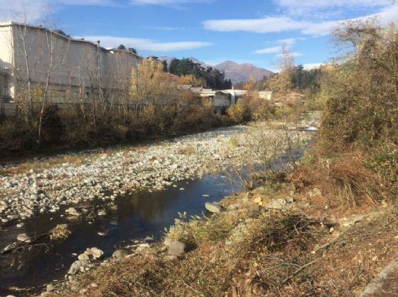Torrente Cervo