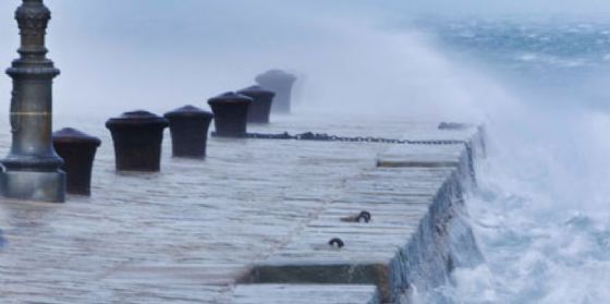 Bora oltre i 110 chilometri orari su Trieste e meno 7 gradi in Carnia (© Diario di Trieste) Bora oltre i 110 chilometri orari su Trieste e meno 7 gradi in Carnia (© Diario di Trieste)