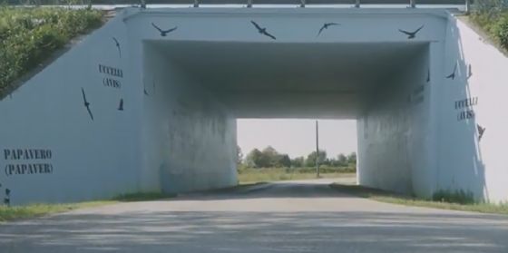 Inaugurato il murales nel sottopasso dell’autostrada A28 a Villotta di Chions