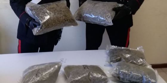 Sequestrati 42 chili di marijuana: due albanesi e tre italiani arrestati (© Carabinieri di Pordenone) Sequestrati 42 chili di marijuana: due albanesi e tre italiani arrestati (© Carabinieri di Pordenone)