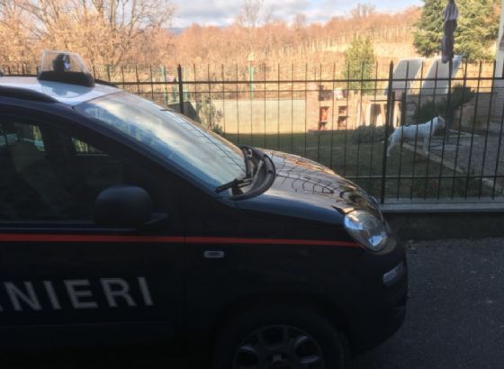 Oggi i carabinieri sono tornati dalla proprietaria dei cani