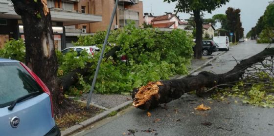 Protezione Civile: 400 mila euro ai Comuni per il maltempo di agosto