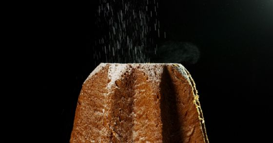 Il primo pandoro al mondo fatto con gli insetti Il primo pandoro al mondo fatto con gli insetti
