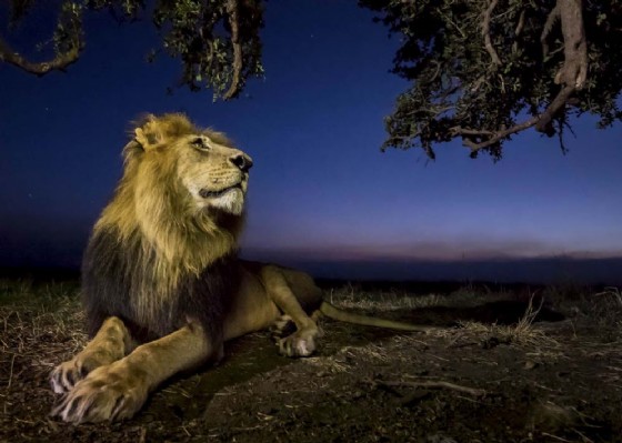 Le incredibili immagini di Oasis Photocontest in mostra a Udine