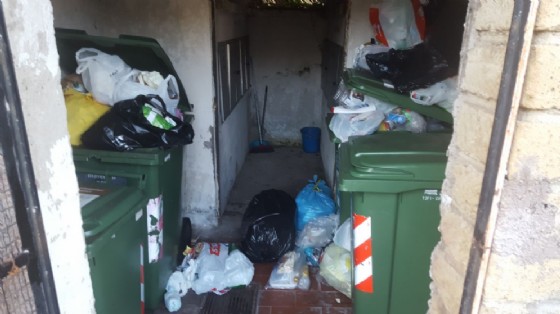 Spazzatura non raccolta a Torre Gaia