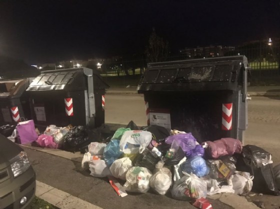 Spazzatura non raccolta a Ostia