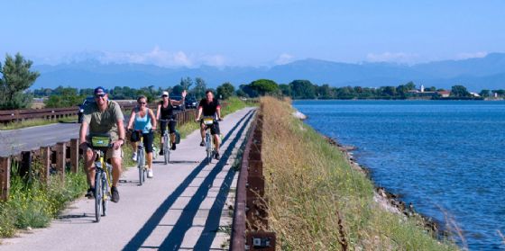 Trasporti: ok al collegamento bici-bus da Grado a Parenzo (© funactive.info) Trasporti: ok al collegamento bici-bus da Grado a Parenzo (© funactive.info)