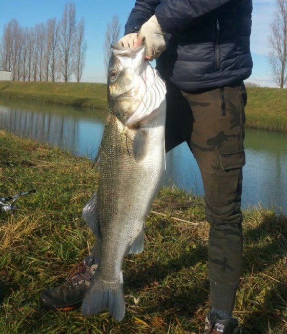 Va a pesca col padre: 16enne prende all'amo un branzino da 11 chilogrammi e 8 etti
