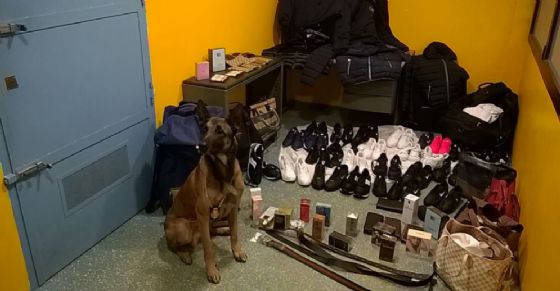 La merce sequestrata dalla polizia municipale (© Diario di Torino) La merce sequestrata dalla polizia municipale (© Diario di Torino)