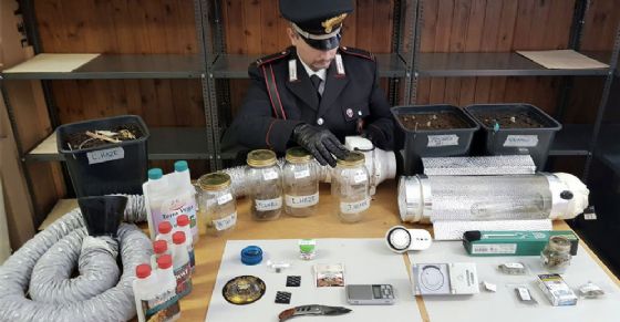 Il sequestro dei carabinieri (© Diario di Torino) Il sequestro dei carabinieri (© Diario di Torino)