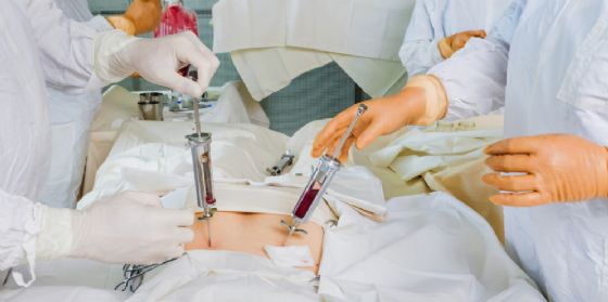 Pordenone, trovato un donatore di midollo per Elisa (© Shutterstock.com) Pordenone, trovato un donatore di midollo per Elisa (© Shutterstock.com)