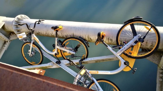 Le bici gettate dal ponte