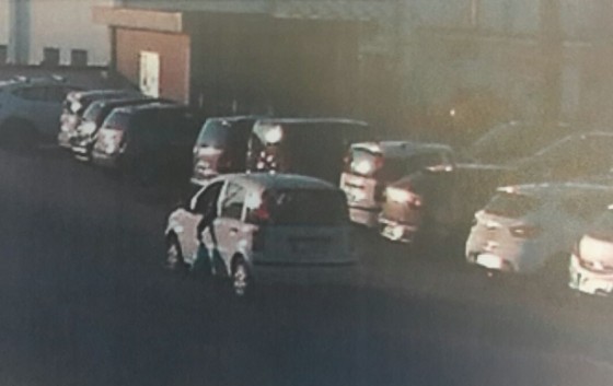 Immagini immortalate dalla polizia locale