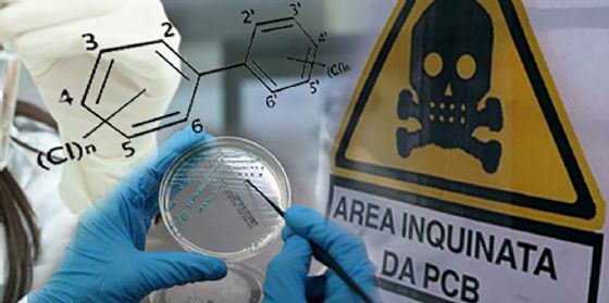 Analisi dei policlorobifenili a Maniago: tecniche diverse ma nessun rischio (© hse-formazione.it) Analisi dei policlorobifenili a Maniago: tecniche diverse ma nessun rischio (© hse-formazione.it)