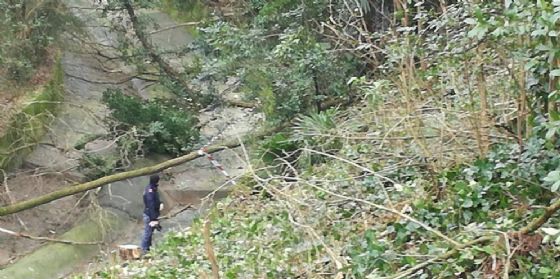 Giallo in un bosco del goriziano: trovato uno scheletro umano