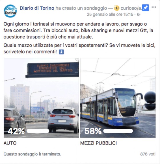 I risultati del sondaggio