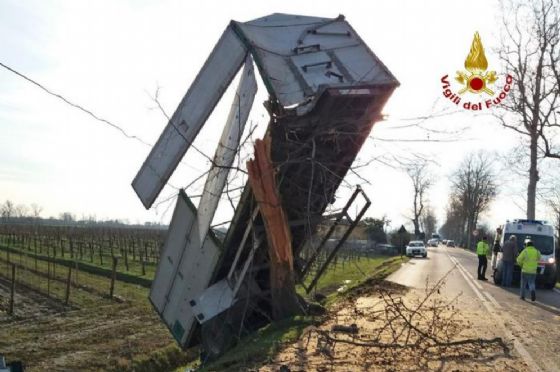 Rimorchio si impenna su un albero