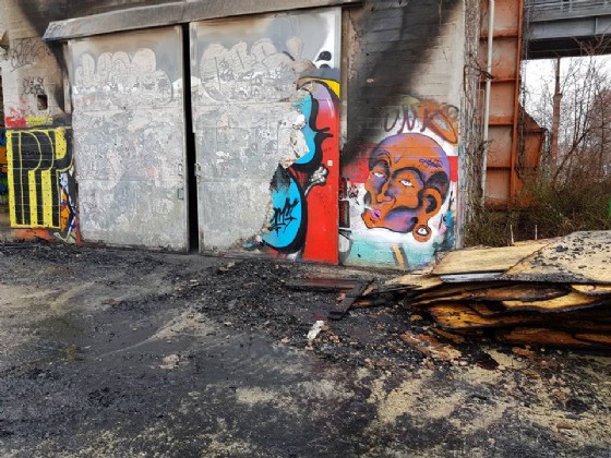 L'incendio al Parco Dora