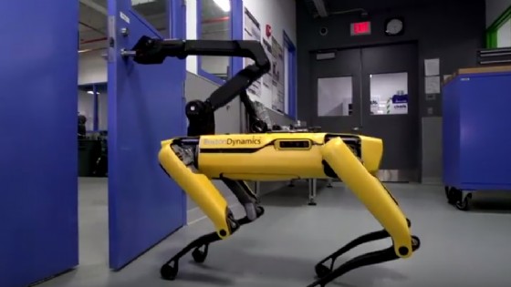 Il cane-robot