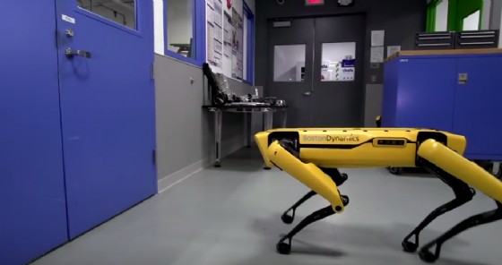 Il cane-robot