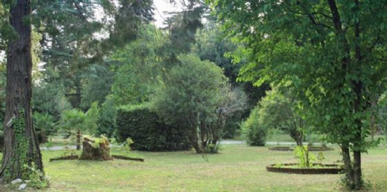 Cultura: ok alla rigenerazione urbana del parco Basaglia a Gorizia (© scoprifvg.it) Cultura: ok alla rigenerazione urbana del parco Basaglia a Gorizia (© scoprifvg.it)