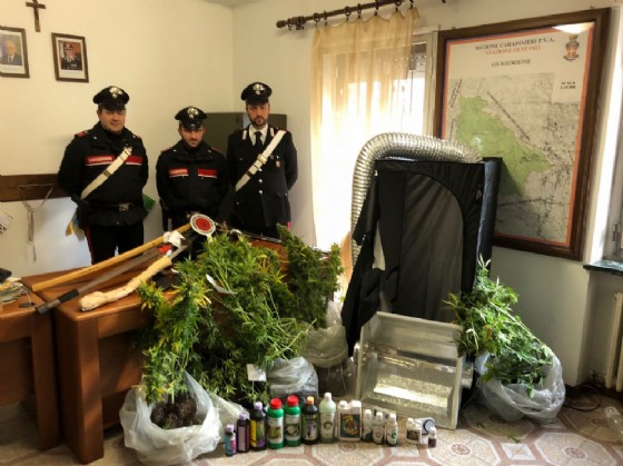 Il materiale sequestrato dai carabinieri (© Diario di Biella) Il materiale sequestrato dai carabinieri (© Diario di Biella)