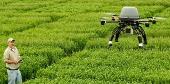 Agricoltura 4.0: il Consorzio agrario Fvg fa il punto