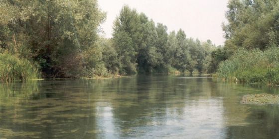 Interventi aggiuntivi di oltre 23 mila euro sui corsi d'acqua nel Pordenonese