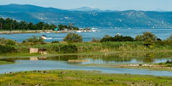 Non ci saranno ulteriori divieti nelle aree protette dell'Isola della Cona