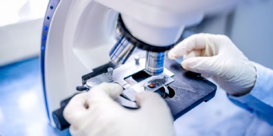Si amplia l'offerta diagnostica al Cro: disponibile la Pet con tracciante al Gallio (© Shutterstock.com) Si amplia l'offerta diagnostica al Cro: disponibile la Pet con tracciante al Gallio (© Shutterstock.com)