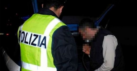 Controlli della polizia municipale (© ANSA) Controlli della polizia municipale (© ANSA)