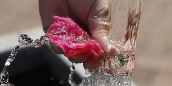 Festa della donna a Gorizia: per l'occasione un corso creativo a tema floreale