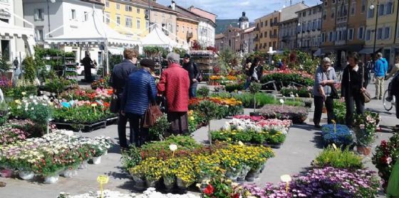 "Gorizia in fiore e delizie di primavera": una 4a edizione piena di novità (© Gorizia in Fiore) "Gorizia in fiore e delizie di primavera": una 4a edizione piena di novità (© Gorizia in Fiore)